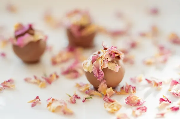 Cresus Casino Application Android/iOS